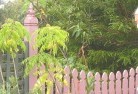 Myola NSWplant-nursery-6.jpg; ?>