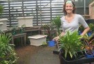 Myola NSWplant-nursery-9.jpg; ?>